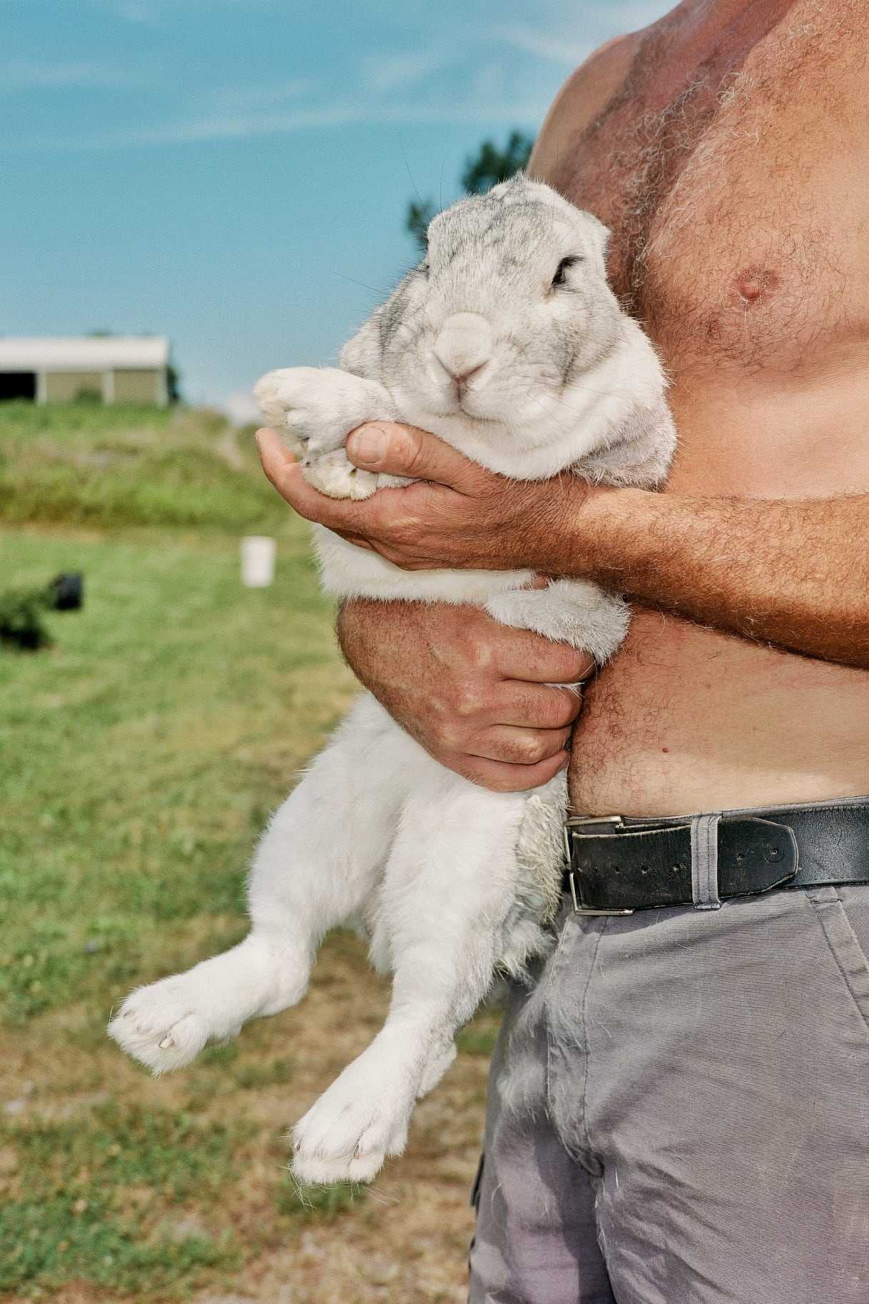 Un lapin blanc dans les bras de Brian Chaney, propriétaire de la ferme Shades of Gray Rabbitry.